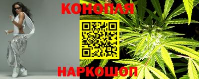 прущие крисы Кимры